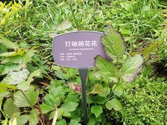 -国家植物园南园