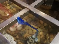 -江门古兜温泉小镇