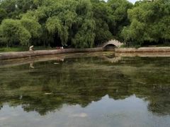 -黑龙江省森林植物园