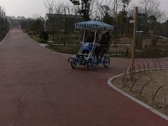 -柳鹭田园区