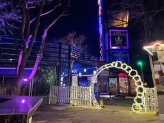 -枫花园汽车电影院(朝阳公园店)