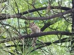 -长春市南湖公园