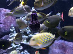 -成都浩海立方海洋公园