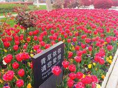 -无锡市市民中心