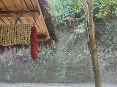 -海南槟榔谷黎苗文化旅游区