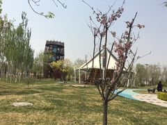 -武清南湖绿博园