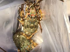 -盒马鲜生(莱蒙都会店)