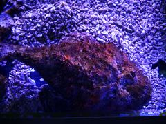 -皇家极地海洋世界-售票处