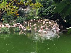 -九龙公园