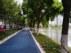 -西北湖绿化广场