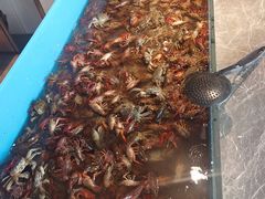 -星伦多 自助料理(圆融店)
