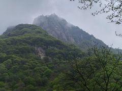 -陕西省红河谷森林公园