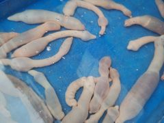 -香满居张记小厨私房菜(青岛站店)
