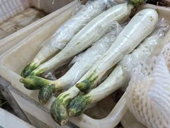 -花园菜市场