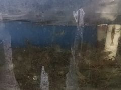 -福满楼(锦溪古镇店)