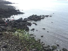 -龙头岩(Dragon Head Rock)