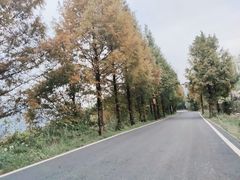 -江南天池