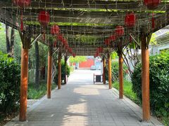 -有喜胶东小馆(太申祥和店)