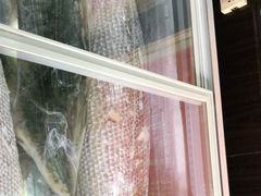 -老东北三江野生大鱼坊(登封店)