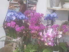 -FEI FEI FLOWER鲜花店·气球派对·宝宝宴布置(虹口德必运动Loft店)