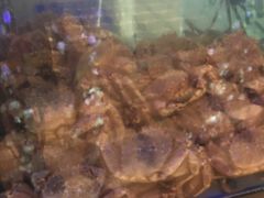 辣炒帝王蟹-蟹之国·精品蟹料理(极地店)