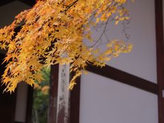 -常寂光寺