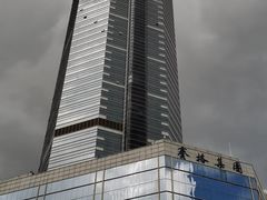 -赛格电子市场(华强北路店)