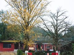 -佛荫寺