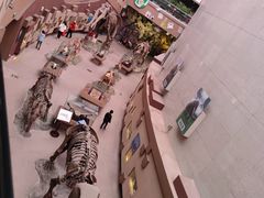 -陕西自然博物馆