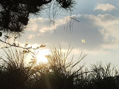 -蘇河湾·新鲁菜·泰山宴(泰山店)