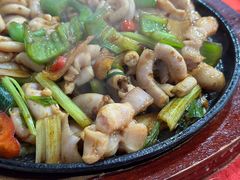 -先鲜鲫鱼粥