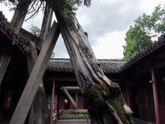 -太平天国侍王府