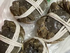 -阳澄湖大闸蟹·琼灵阁牌品牌连锁(吴中总店)