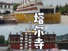 -塔尔寺