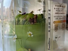 -半分甜(台柳路店)