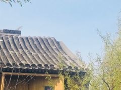 -春风习习