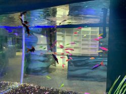 -酷嗒动物文化乐园(cutezoo西溪乐天城店)