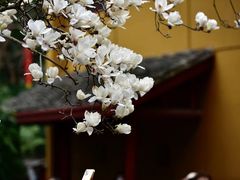 -杭州上天竺法喜讲寺