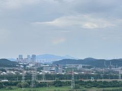 -羊山湖公园