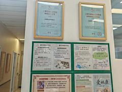 -爱妮康宠物医院·干细胞免疫细胞·肿瘤·心脏(张江店)