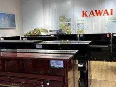 -柏斯音乐艺术中心·钢琴·吉他(世纪金源店)