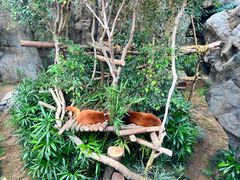 -香港海洋公园