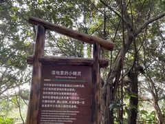 -华侨城湿地公园