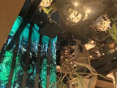 -桂满陇·海市蜃楼·黑金(国金店)