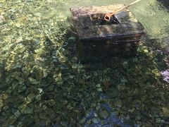 -竹泉村旅游度假区