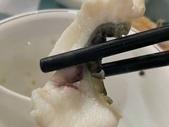 脆鲩鱼片-中山脆肉鲩(新圳东路店)