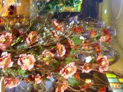 20080920445-金汉斯手工啤酒餐厅(白堤路店)