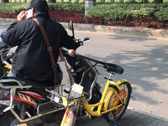 -香港珍妮曲奇聪明小熊饼干