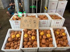 -双福水果批发市场