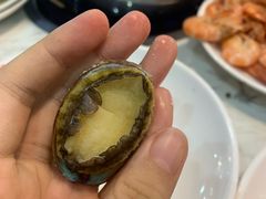 活鲍鱼-渔夫海鲜自助